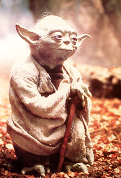 yoda